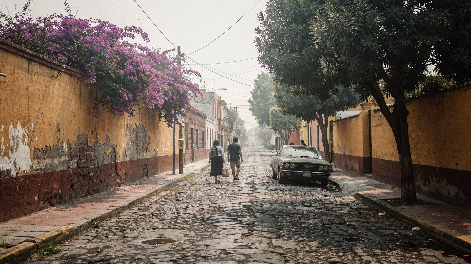 Guia de caminhada em Coyoacán: o melhor roteiro pelo bairro