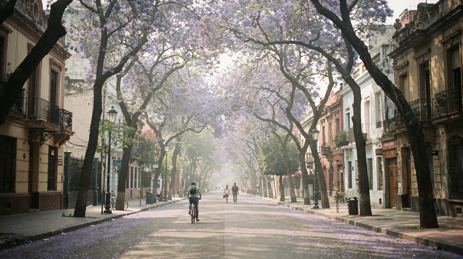 Mexico City in 3 days: Centro, Chapultepec, and Coyoacán